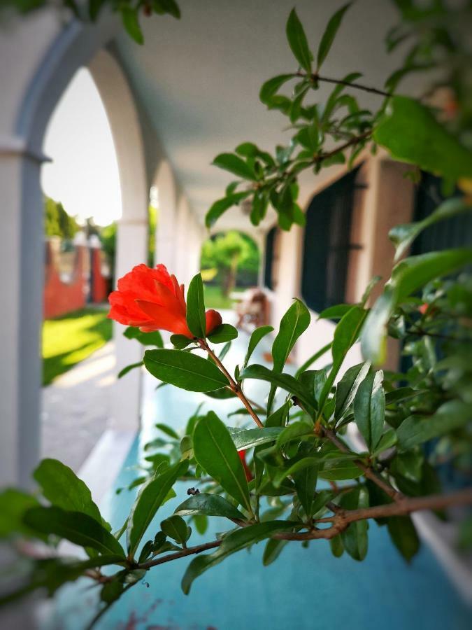 Casa Del Vigneto - New Near Venice - Rooms+Bathroom - Independent مخرج سبينيا المظهر الخارجي الصورة